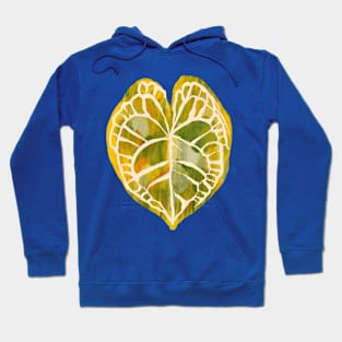 Anthurium King Clarinervium Variegated Hoodie